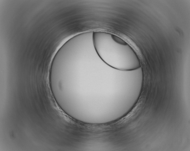 X0000111210956200908121129