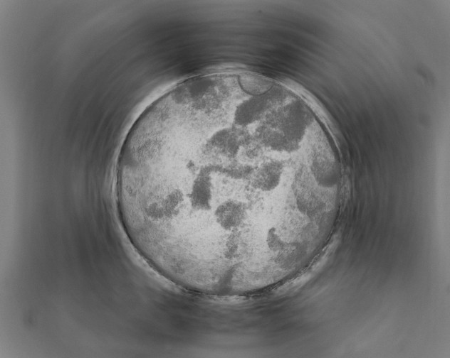 X0000111210957200908121129