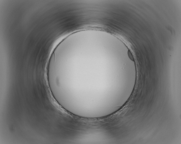 X0000111210960200908121130