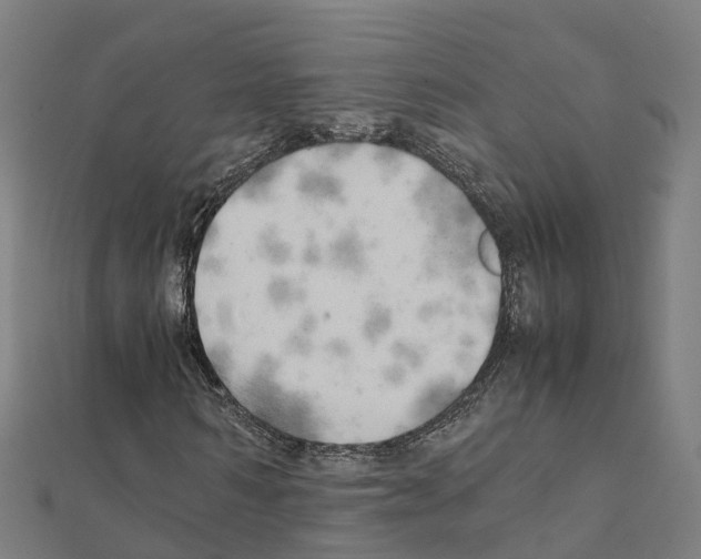 X0000111210962200908121129