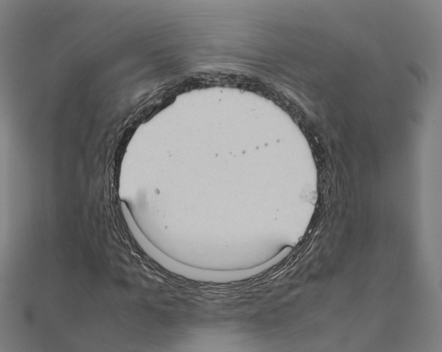 X0000111210965200908121129