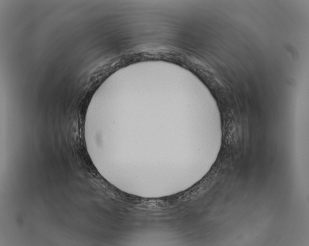 X0000111210966200908121128