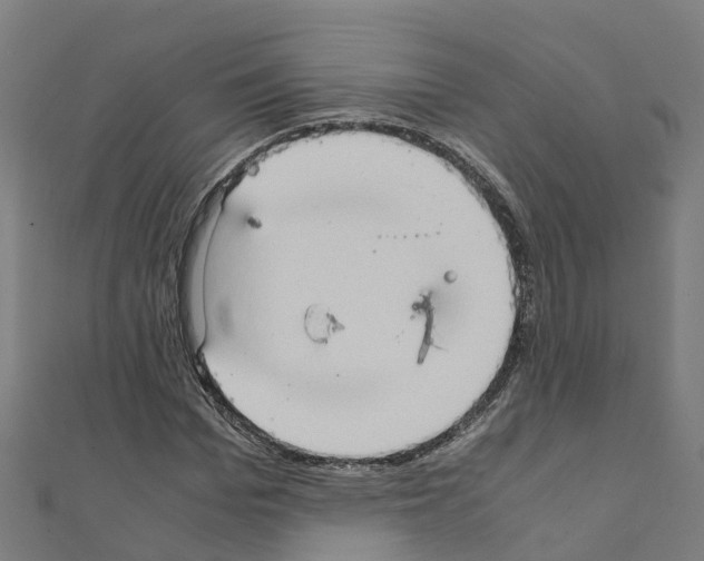 X0000111210969200908121128