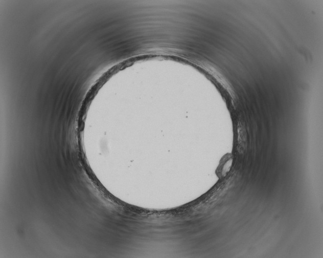 X0000111210972200908121128