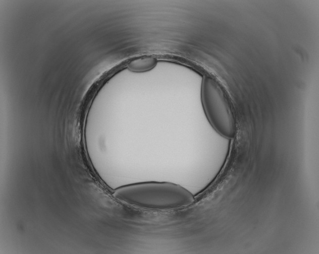 X0000111210973200908121128