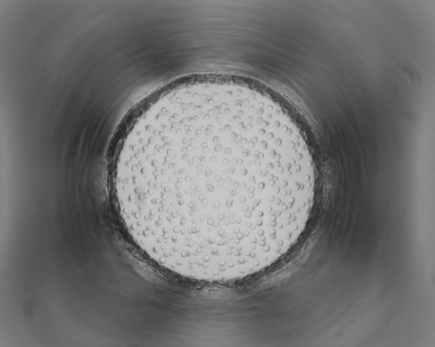 X0000111210974200908121128