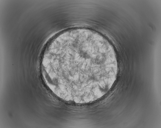 X0000111210975200908121128