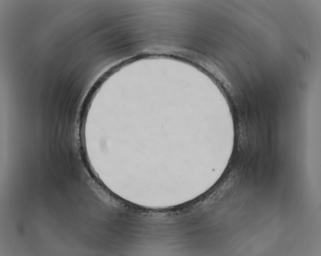 X0000111210976200908121128