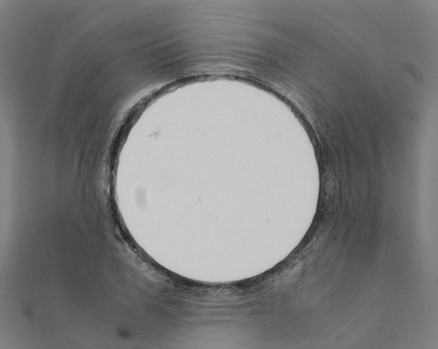 X0000111210979200908121128