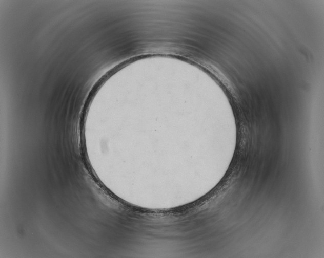 X0000111210980200908121128