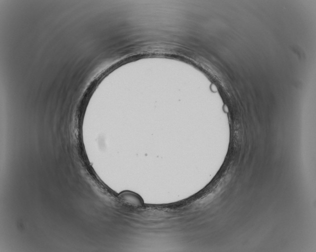 X0000111210981200908121128