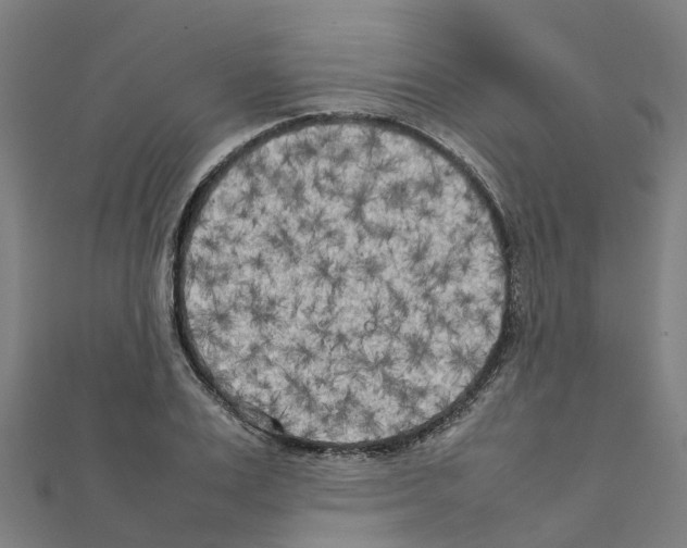 X0000111210983200908121128