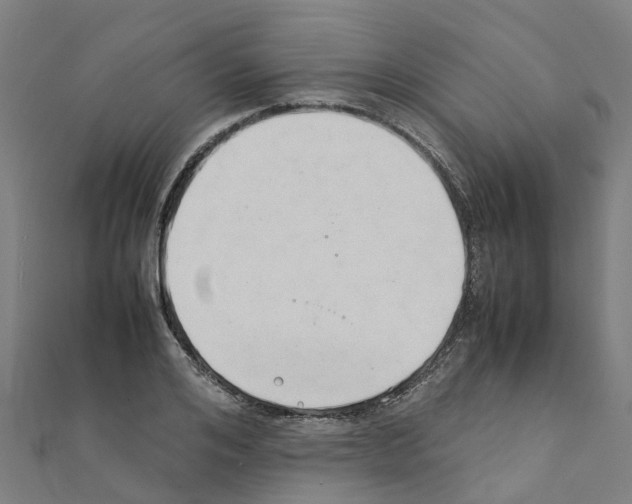 X0000111210984200908121128