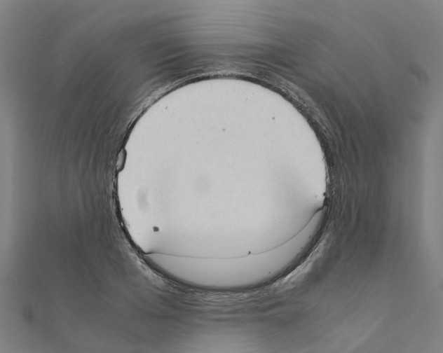 X0000111210985200908121128