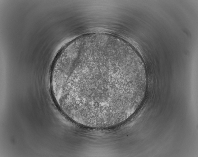 X0000111210987200908121128