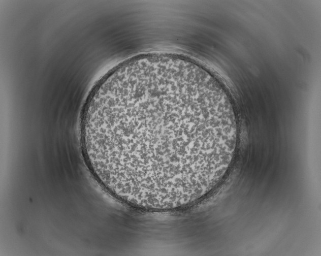 X0000111210990200908121128