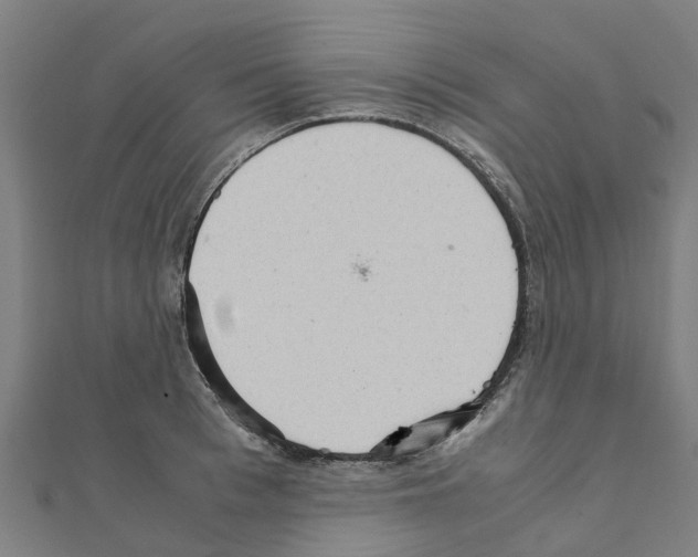 X0000111210993200908121128