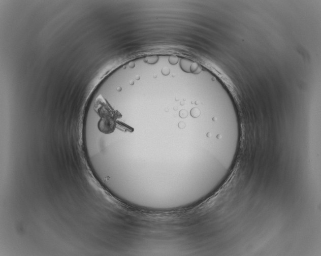 X0000111210994200908121128