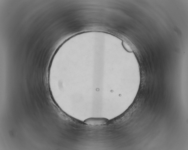 X0000111210996200908121128