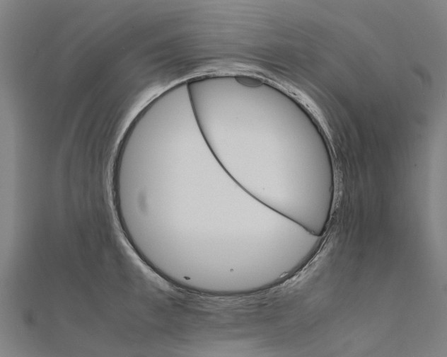 X0000111210997200908121128