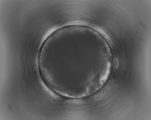 X0000111210998200908121128