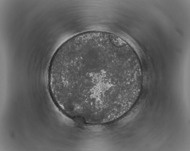 X0000111210999200908121128