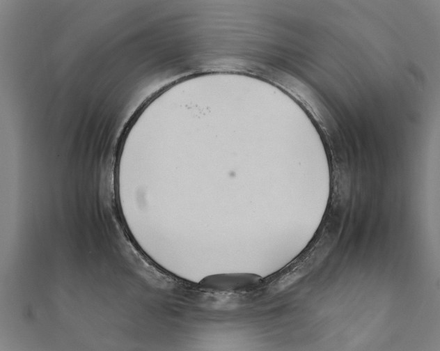 X0000111211000200908121128