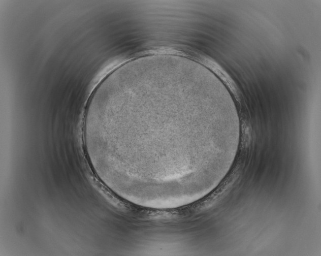 X0000111211002200908121128