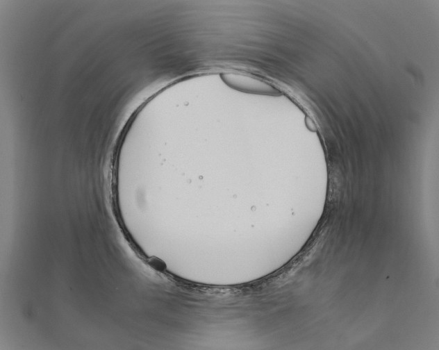 X0000111211003200908121128