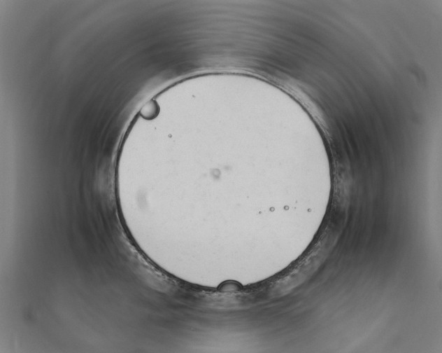 X0000111211004200908121128