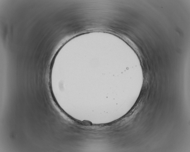 X0000111211005200908121128