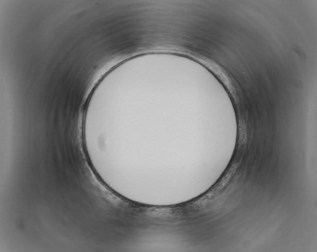 X0000111211006200908121128