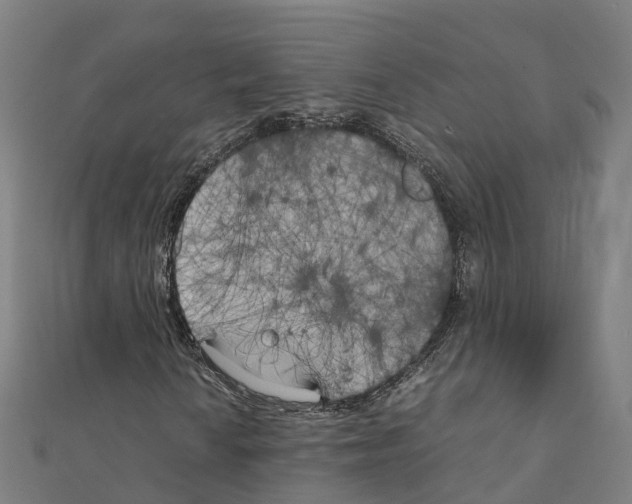 X0000111211010200908121127