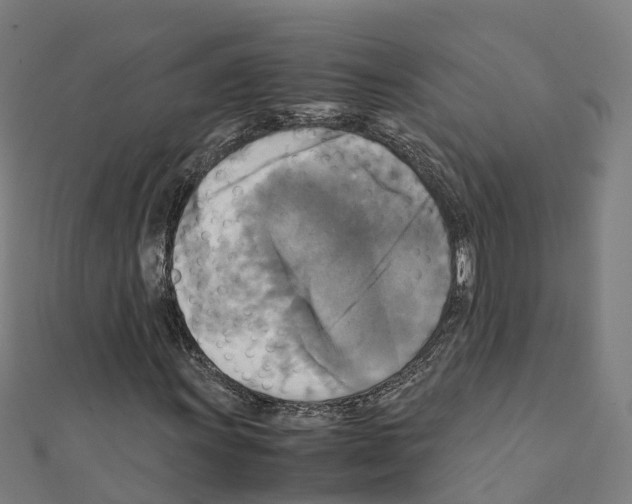 X0000111211011200908121127