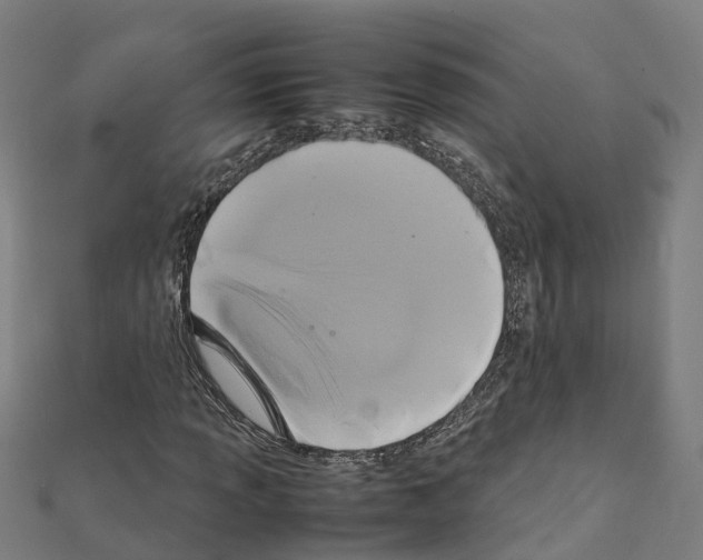 X0000111211013200908121127