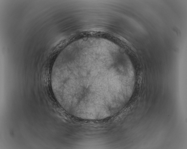 X0000111211014200908121127