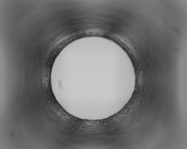 X0000111211015200908121127