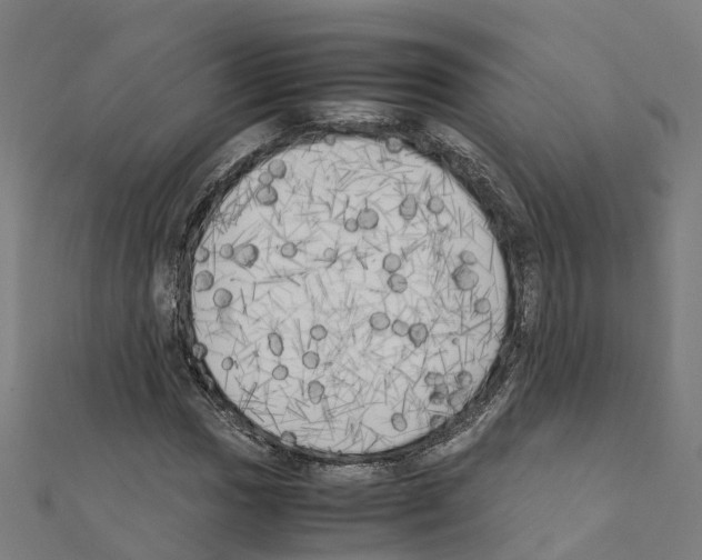 X0000111211017200908121127