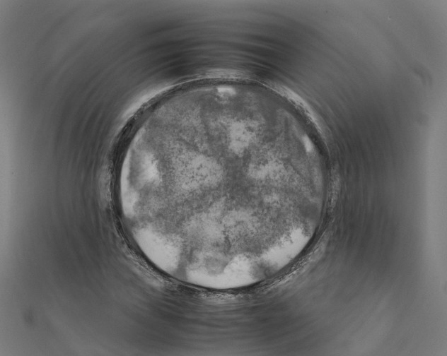 X0000111211019200908121127