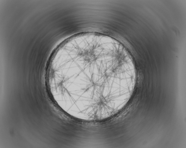 X0000111211020200908121127