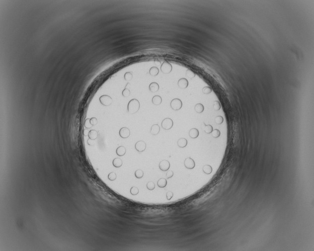 X0000111211021200908121127