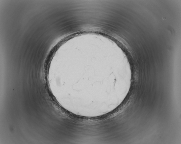 X0000111211022200908121128