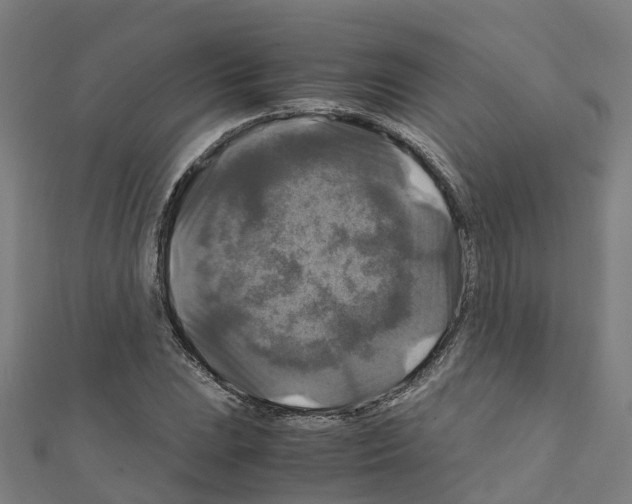 X0000111211023200908121128