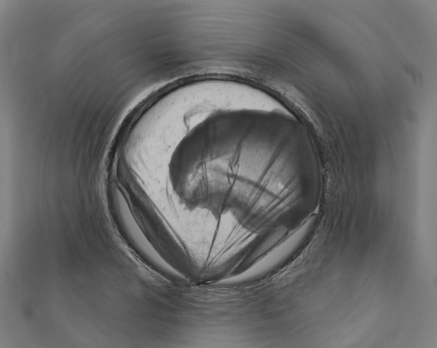 X0000111211024200908121128