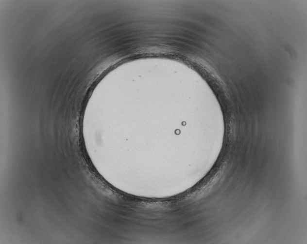 X0000111211025200908121128