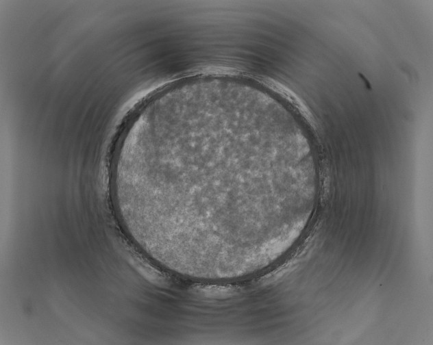 X0000111211027200908121128