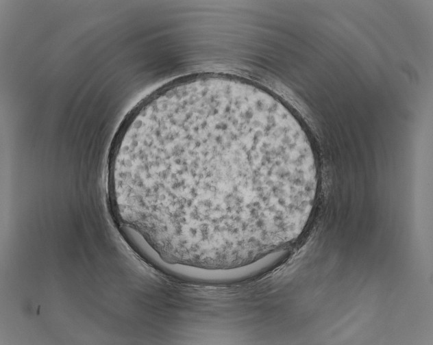 X0000111211028200908121128