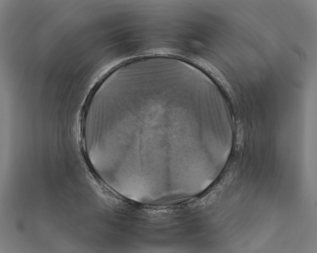 X0000111211031200908121128