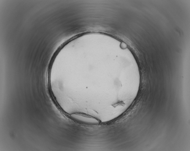 X0000111211032200908121128