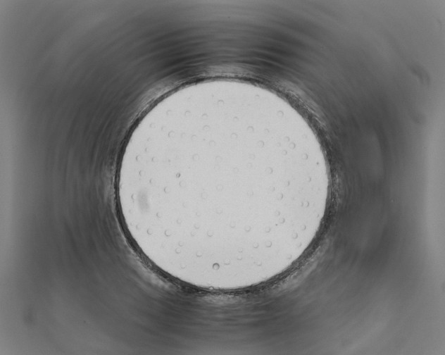 X0000111211033200908121128